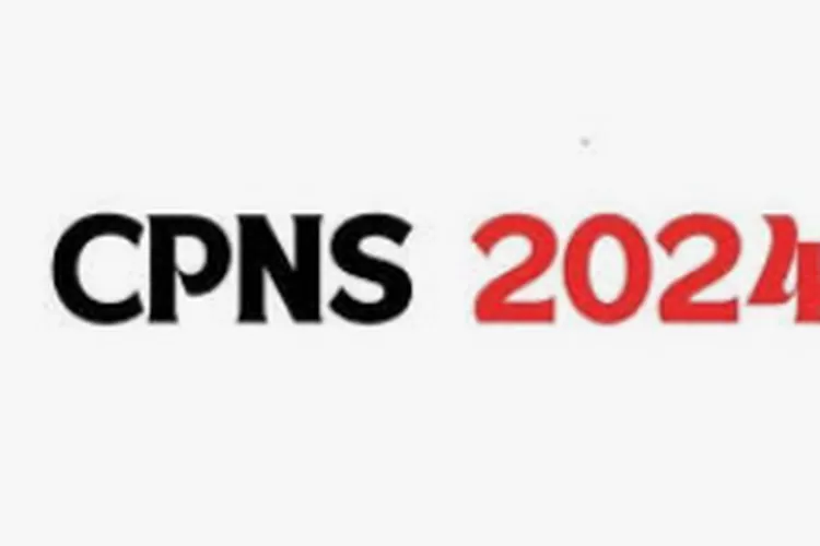 Jadwal Terbaru! Cara Cek dan Daftar CPNS 2024 Beserta Informasi Berkas