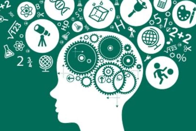 Belajar Keras Belum Tentu Belajar Cerdas: Mengapa Metakognisi Lebih Penting daripada Sekadar IQ?