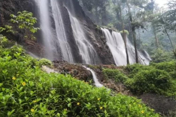 Tumpak Sewu: Keindahan Air Terjun Menakjubkan Di Lumajang, Jawa Timur ...