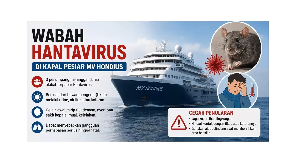 Ilustrasi. Penyebaran wabah hantavirus.
