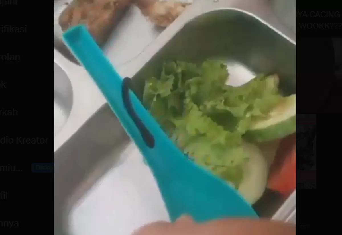Cacing pada menu MBG (Twitter @kiplizkhan)