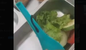 Viral! Menu MBG di Pulau Tello Nias Selatan Diduga Berisi Cacing dan Kotoran Ayam