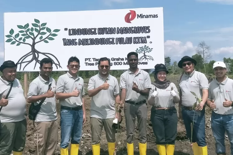 Minamas Plantation lewat unit usahanya PT Tamaco Graha Krida menanam 500 pohon mangrove di Desa Umbele 