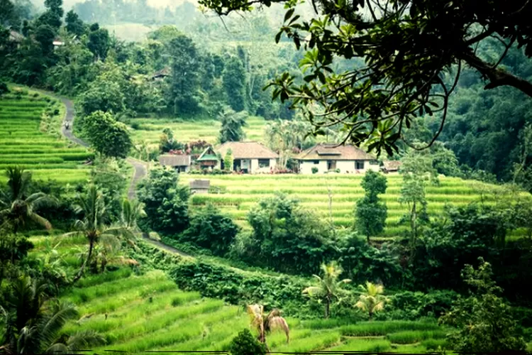Sederet Desa Unik Yang Menarik Di Kabupaten Cilacap Jawa Tengah Ada Nama Desa Yang Jadi