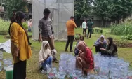 Bukan Keterbatasan ! Tak Perlu Lahan Luas, Hidroponik Sumbu Jadi Solusi Bertani di Perkotaan