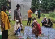 Bukan Keterbatasan ! Tak Perlu Lahan Luas, Hidroponik Sumbu Jadi Solusi Bertani di Perkotaan