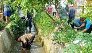 Grogol Depok Bebersih Irigasi, Bakal Dijadikan Tempat Budidaya Ikan Tawar