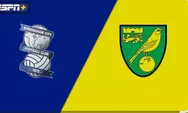 Prediksi Birmingham vs Norwich Liga Championship Sabtu 22 November 2025 Jam 22.00 WIB   