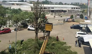 El Primo Gegabah! Penghuni Verbena, Pemerhati Lingkungan dan Dewan Depok Kecam Pembabatan Pohon