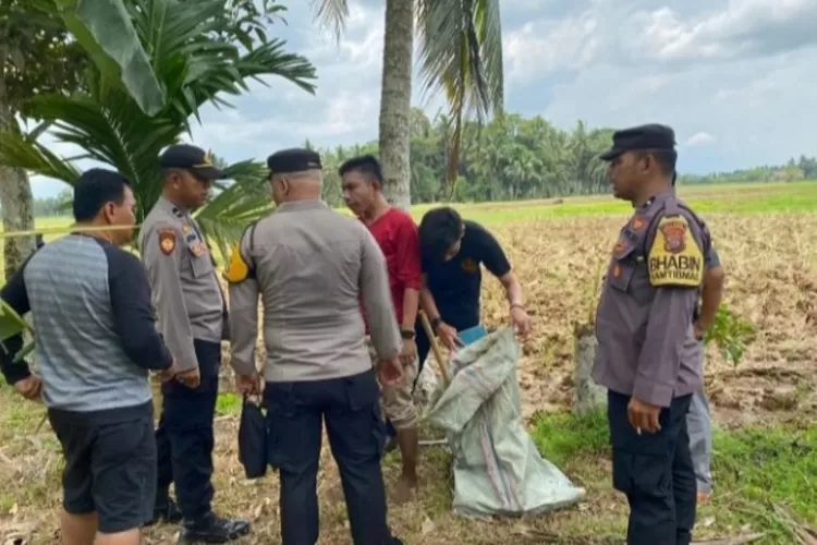 Kronologi Ibu Dan Anak Di Padang Yang Tewas Dibunuh Pakai Cangkul ...