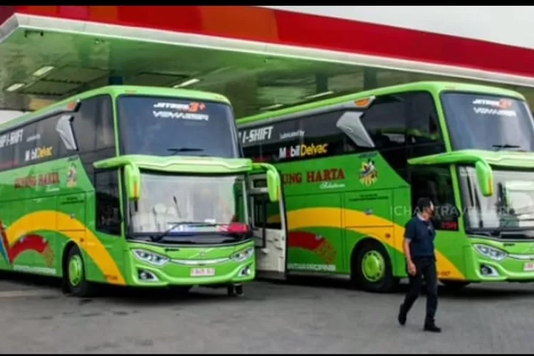 Update Tarif Dan Rute Bus Gunung Harta Denpasar Jawa Tengah Dan