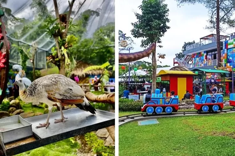 Ibarbo Park salah satu tempat wisata edukasidi Yogyakarta (@whousehomestay)