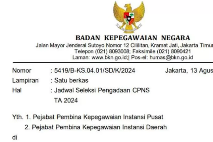 Seleksi CPNS Dibuka 19 Agustus 2024, Berikut Jadwal Lengkap Yang Telah ...