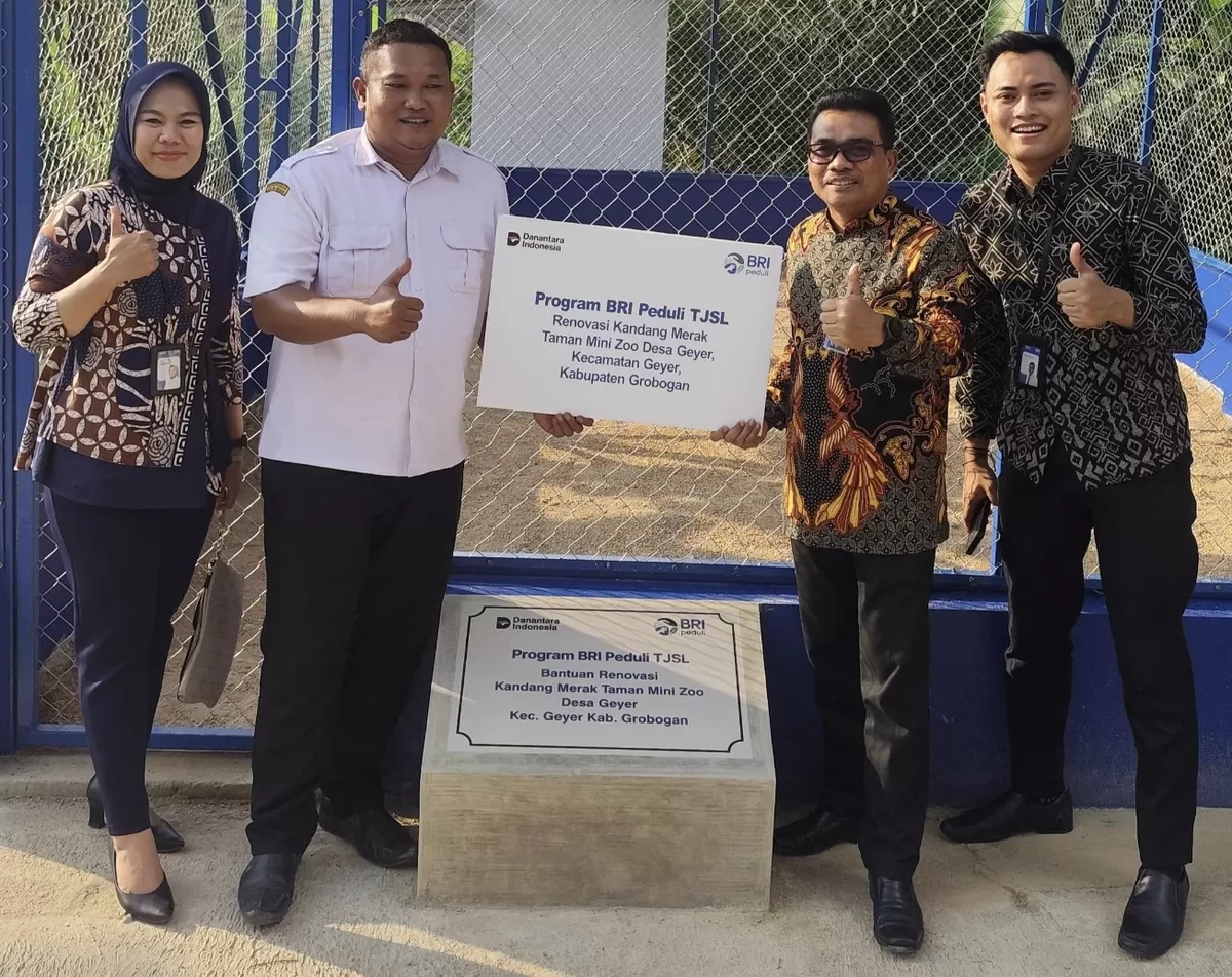 BRI Purwodadi melalui program BRI Peduli TJSL mendukung pengembangan wisata lokal dengan merenovasi dan mempercantik kandang burung merak di Taman Mini Zoo Desa Geyer, Grobogan.