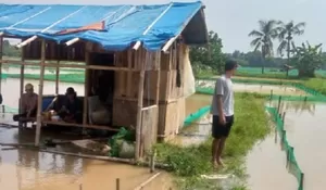 Tanggul Kali Cibeuteung Kabupaten Bogor Jebol Dipasang Bronjong