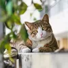 Tanggal Cantik! 8 Agustus Memperingati Hari Kucing Sedunia, Ini Sejarah Internasional Cat Day dan Cara Terbaik Rayakan bersama Anabul Kesayangan