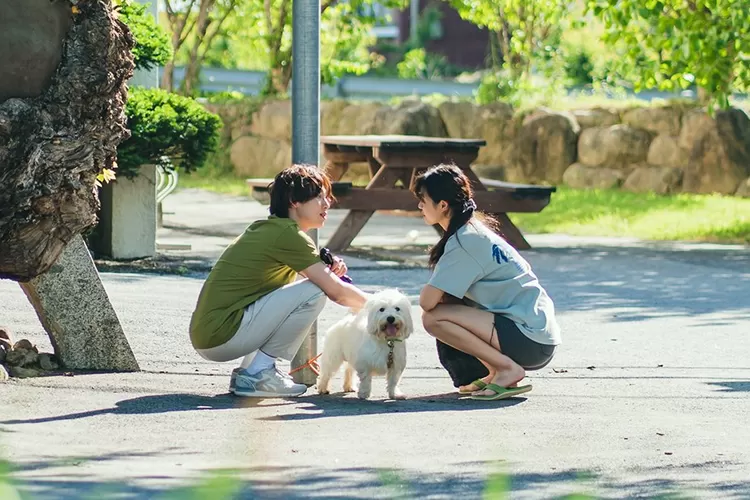 Jadwal Tayang Summer Strike Drama Korea Baru Im Siwan Dan Seolhyun Trixy 0324