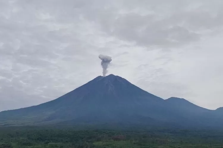 Gunung Semeru di Jawa Timur tercatat beberapa kali erupsi dengan letusan setinggi 800 meter hingga 1 kilometer (km) (Antara)