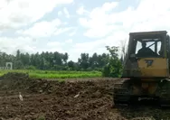 677 Hektare Sawah Terdampak Bencana di Bireuen Dibersihkan