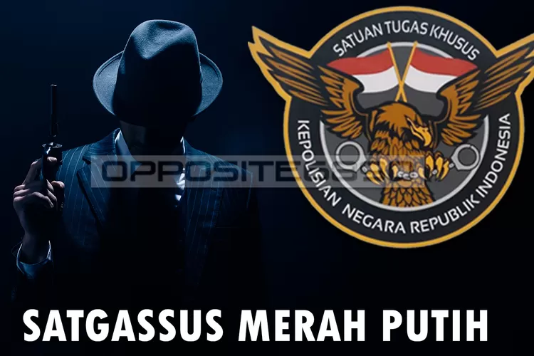 Mengenal Fungsi Dan Tugas Satgassus Yang Kini Sudah Dibubarkan - Ayo ...