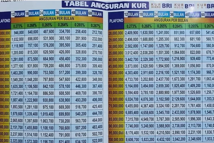 Tabel Angsuran Kur Bri Juta Homecare Vrogue Co