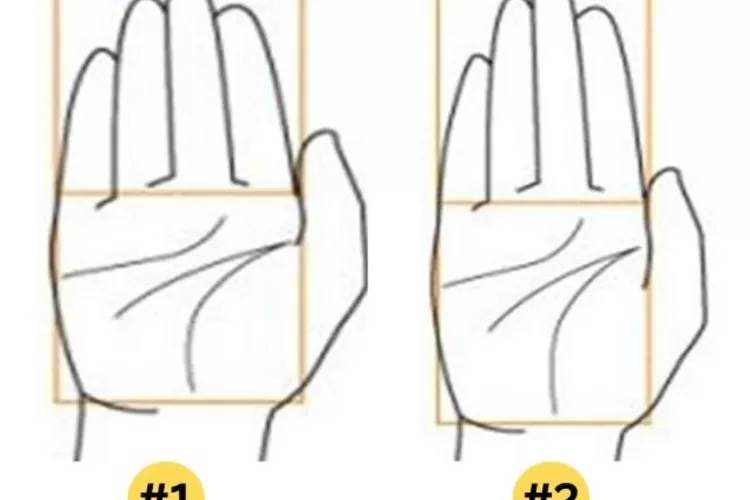 Tes kepribadian melalui bentuk telapak tangan untuk mengetahui karakter seseorang (Jagran Josh)