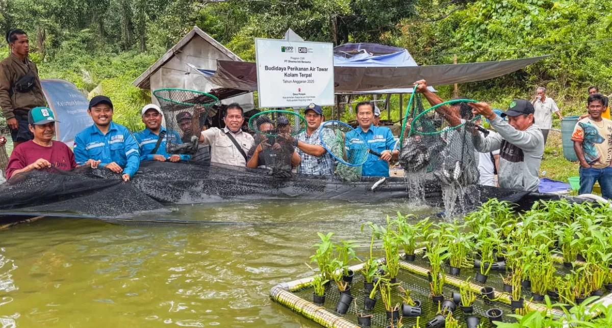 PSN di Pulau Penebang turut andil dalam pertumbuhan ekonomi di Kabupaten Kayong Utara. (Kalimantansatu.com/Dok. Kabupaten Kayong Utara)