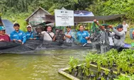 Kayong Utara Tunjukkan Tren Positif Pertumbuhan Ekonomi, PSN di Pulau Penebang jadi Motor Penggerak Perekonomian