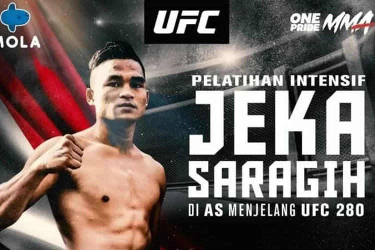 Nonton discount ufc gratis