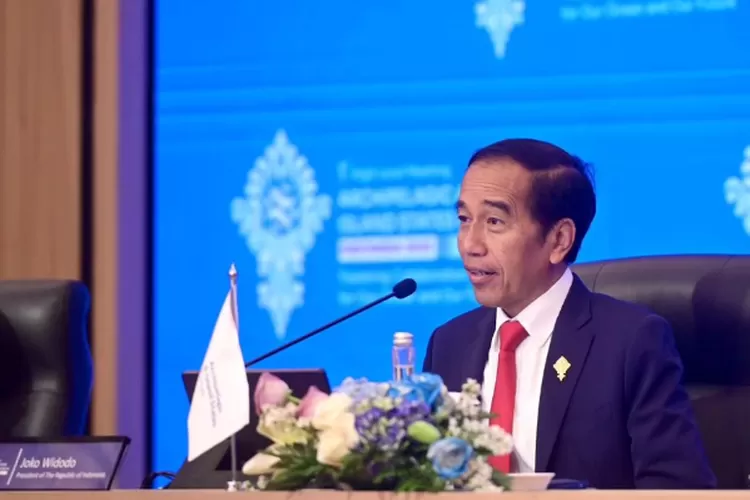Muhammad Isnur, Ketua YLBHI  menilai bahwa krisis konstitusi tak hanya disebabkan oleh kesalahan MK, tetapi juga tindakan Presiden Jokowi. (Instagram @jokowi)