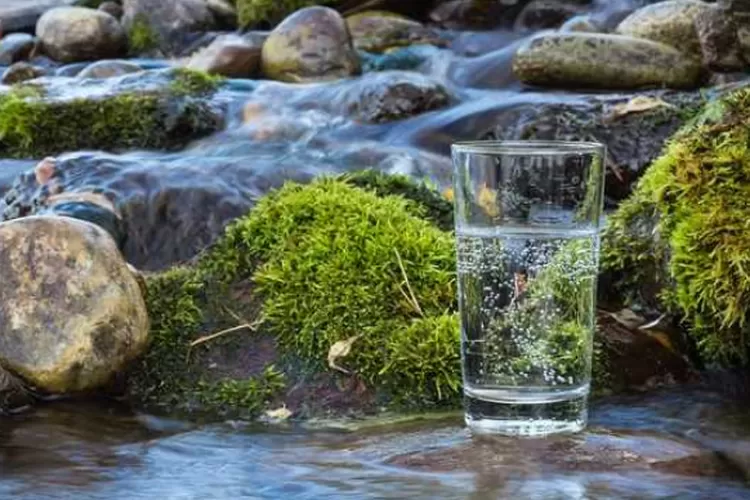 Menjelajahi Sumber Air Mineral di Pegunungan: Keindahan Alam yang Mendukung Kesehatan Anda - Flores Editorial
