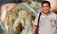 Ekspor Udang ke AS Dibuka, Mindset Mesti Berubah Guna Meningkatkan Kontribusi di Pasar Global dan Disegani