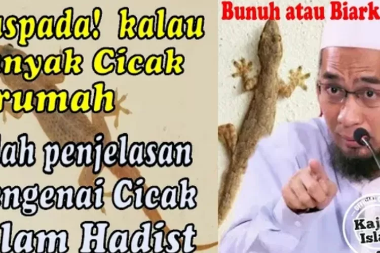 Waspada Banyak Cicak di Rumah, Bunuh atau Biarkan? Ternyata Pertanda ...