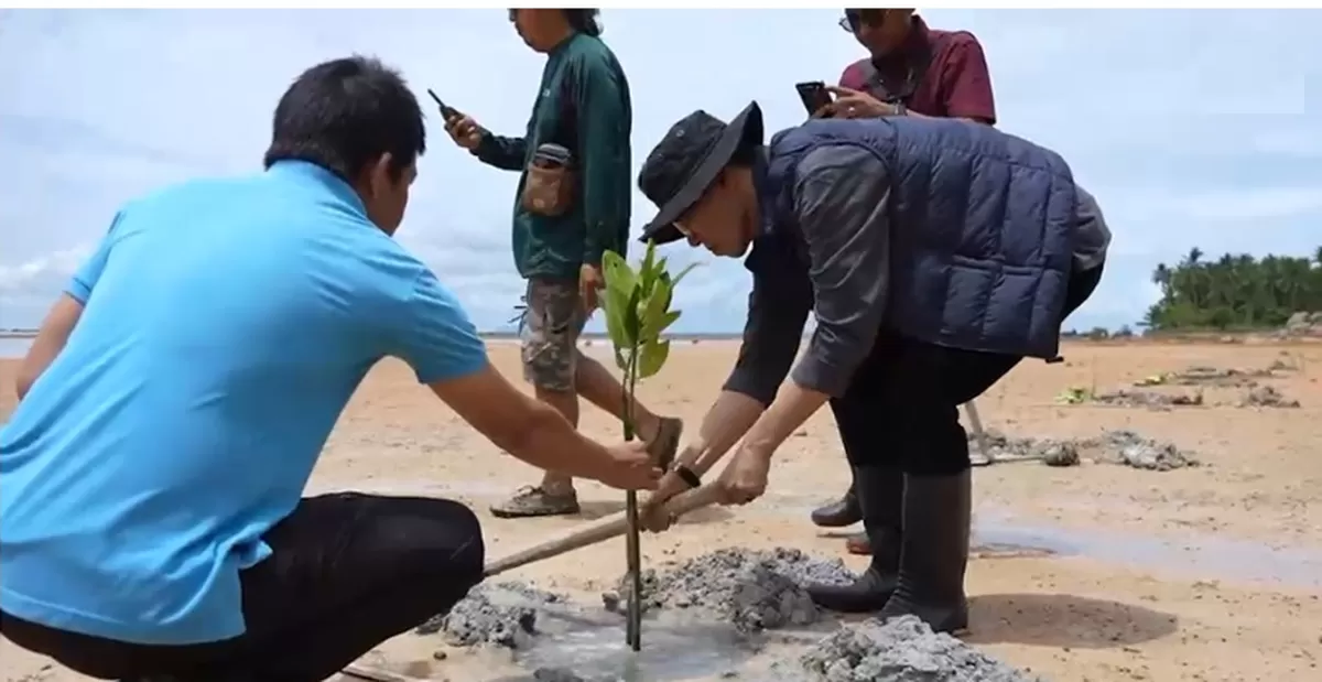 Walikota Batam Amsakar Achmad urut aksi tanam bibit mangrove bersama mahasiswa Unrika Batam.(foto:tangkapan layar video)