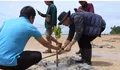 Jaga Lingkungan dan Memitigasi Krisis Iklim, Walikota Batam Iku Aksi Tanam 2.000 Mangrove Bersama Mahasiswa Unrika