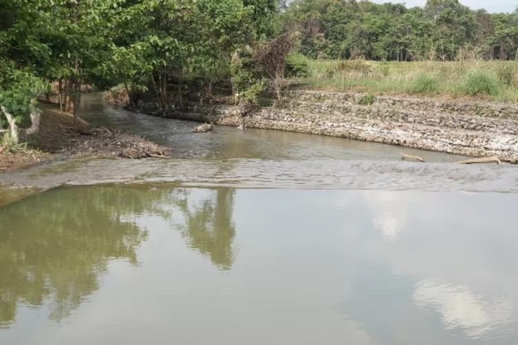 Aliran sungai diwilayah Towuti jernih dan bersih (Vale)