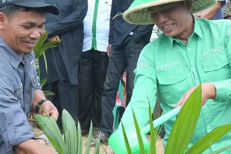 Bupati MFA Melakukan Penanaman Perdana Program PSR Tahun 2024 di Desa Bukit Harapan  (klikanggaran)