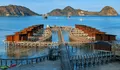 Pengunjung Hotel Labuan Bajo Berlarian menuju Lobi saat Gempa, Sebut Air Laut Sempat Surut