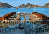 Pengunjung Hotel Labuan Bajo Berlarian menuju Lobi saat Gempa, Sebut Air Laut Sempat Surut
