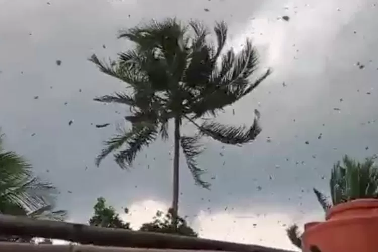 Angin Puting Beliung Manghantam Ciamis dan Pangandaran