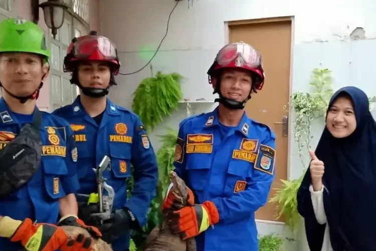 Ilustrasi petugas damkar