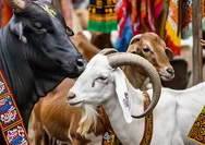 Jangan Sampai Salah, Ini Aturan Pembagian Daging Qurban Hari Raya Idul Adha yang Benar
