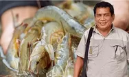 Pasca Terpapar Radioatif dan Antibiotik, Tantangan Industri Udang Perlu Dibenahi Secara Holistik dan Totalitas