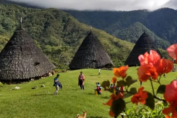 Mengenal Wae Rebo, desa adat tertinggi dengan rumah Mbaru Niang yang ikonik! Keindahan budaya dan alam berpadu di desa di atas awan ini.  (www.backpackerjakarta.com)