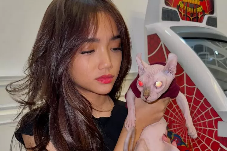 Konten Fuji An bersama kucing sphinx mendapat sorotan ibunda (Foto: Gorajuara/ Instagram/ @fuji_an)