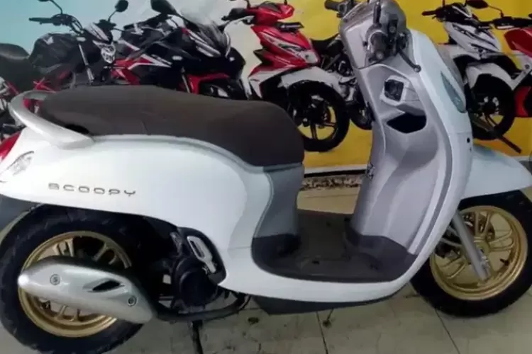 Tak Sampai 20 Juta! Ini Harga Motor Honda Scoopy Tahun 2021 Di ...