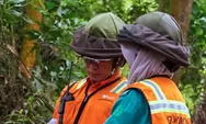 Penasaran Fungsi Helmet Bee Net di Vale? Ternyata Ini Rahasianya!