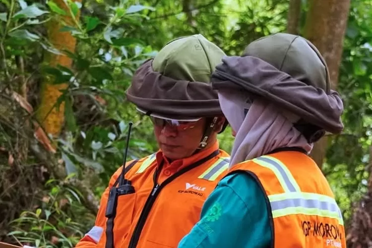 Karyawan PT Vale Indonesia gunakan helmet bee net saat bekerja diruang terbuka atau dihutan (Ist/Vale)