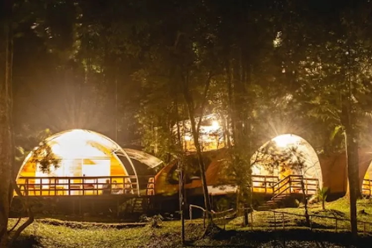 Murah Banget Camping Di Gunung Pangrango Cuma Rp24 Ribu Banyak Spot Menarik Radar Depok 3267