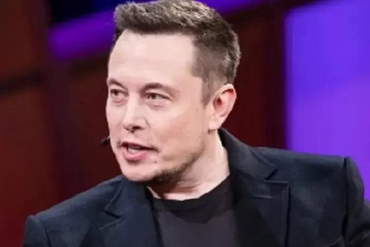 Elon Musk Saat Ditanya Soal Mobil Listrik, Akankan Bikin Tesla Versi ...